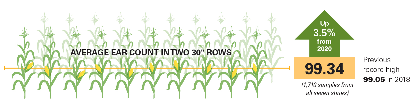 Crop Tour Data Reveals Record Ear Counts | AgWeb