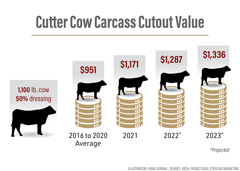 cutter cow carcass price