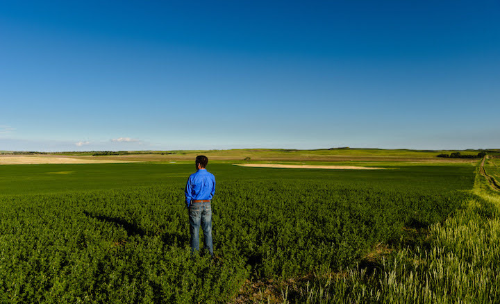 Doug Bichler Overlooking Alfalfa
