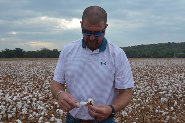 Texas, U.S. expects smaller cotton crop - Texas Farm Bureau