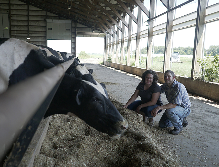 Sleeping With the Cows: A Unique Bed and Breakfast Experience | Dairy Herd