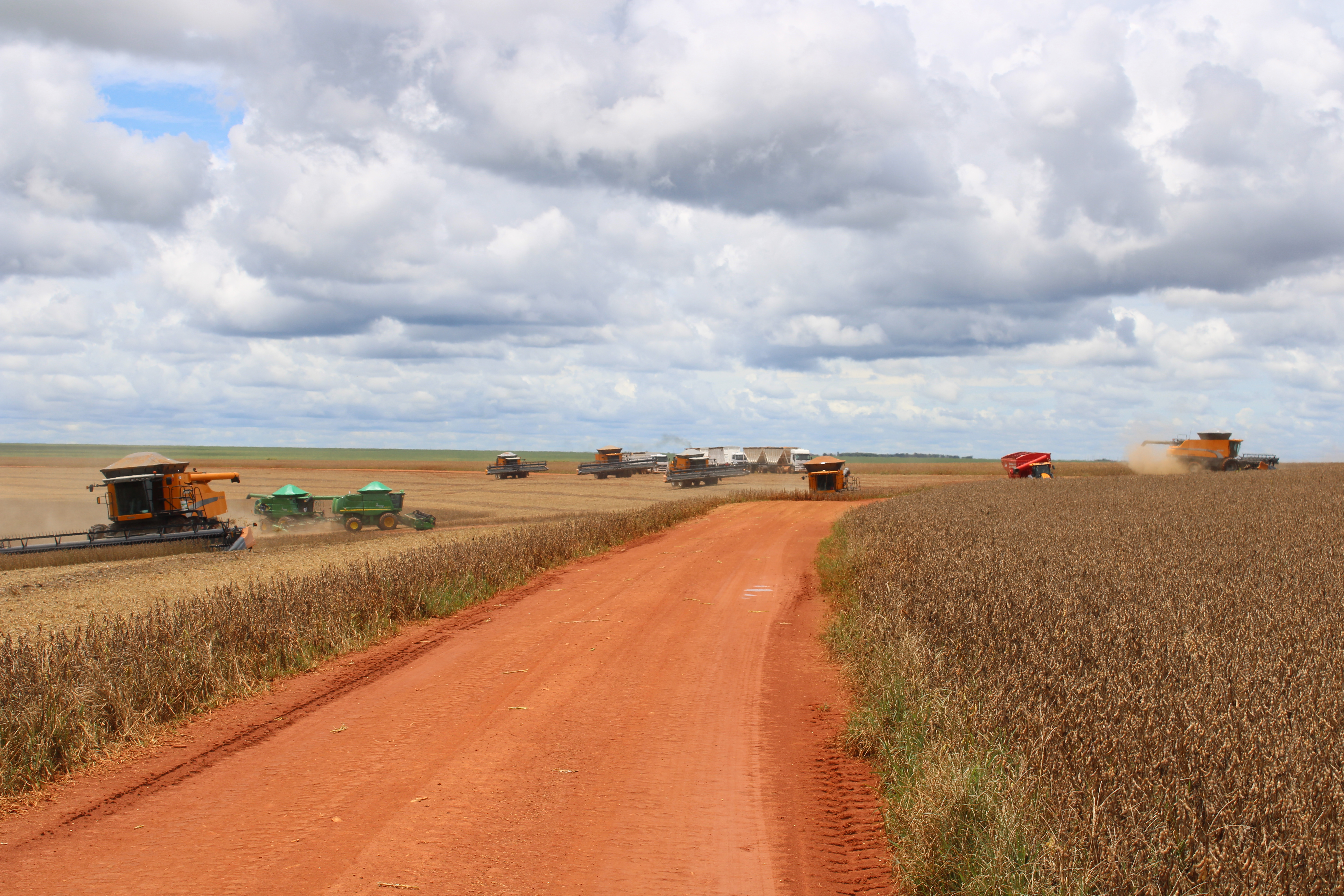 2023 harvest in Mato Grosso