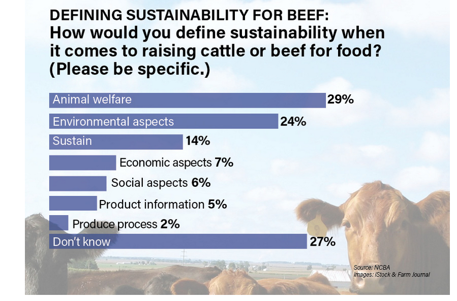 defining sustainability