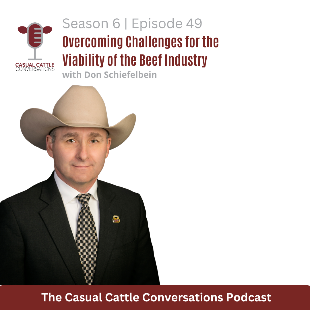 Don Schiefelbein - Casual Cattle Conversations