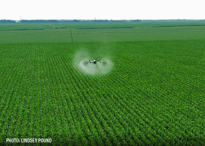 Drone over Corn