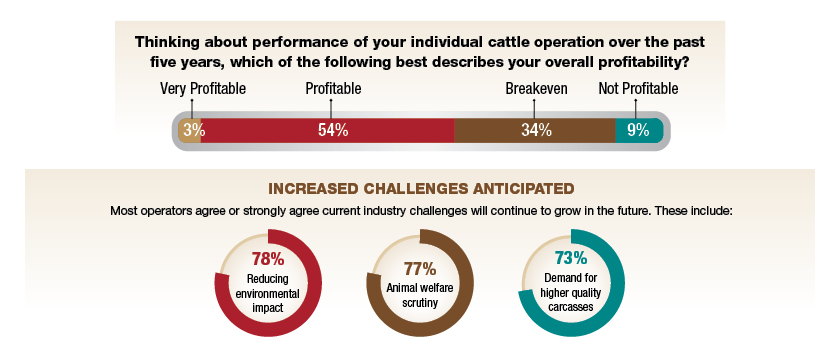 Drovers State of the Beef Industry 2023 Report - Profitability-Success
