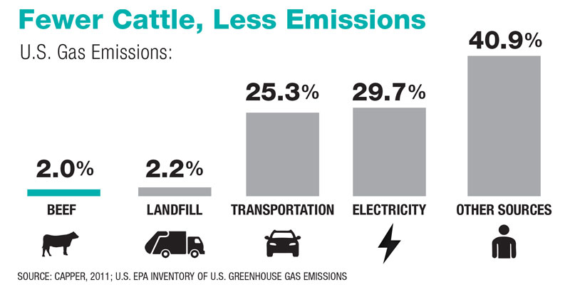 Fewer Cattle, Less Emissions