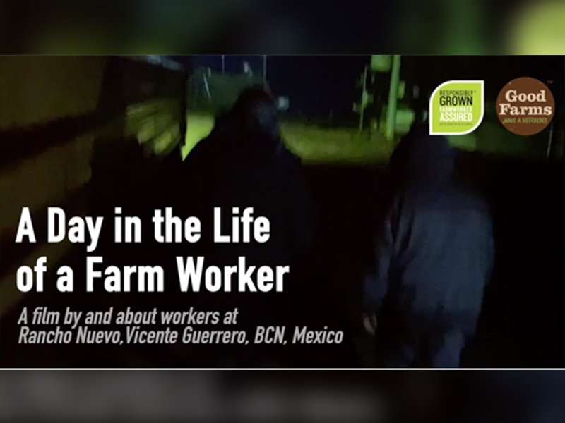 A screenshot of the "A Day in the Life of a Farmworker" video series