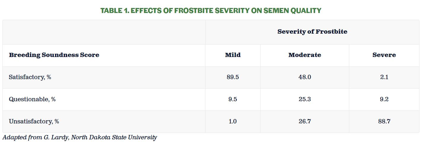 Effects of Frostbite Severity on Semen Quality