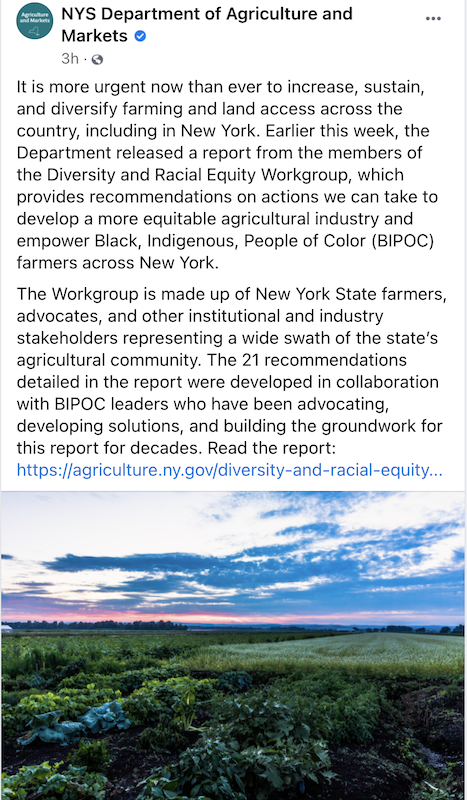 facebook new york state department of ag diversity report