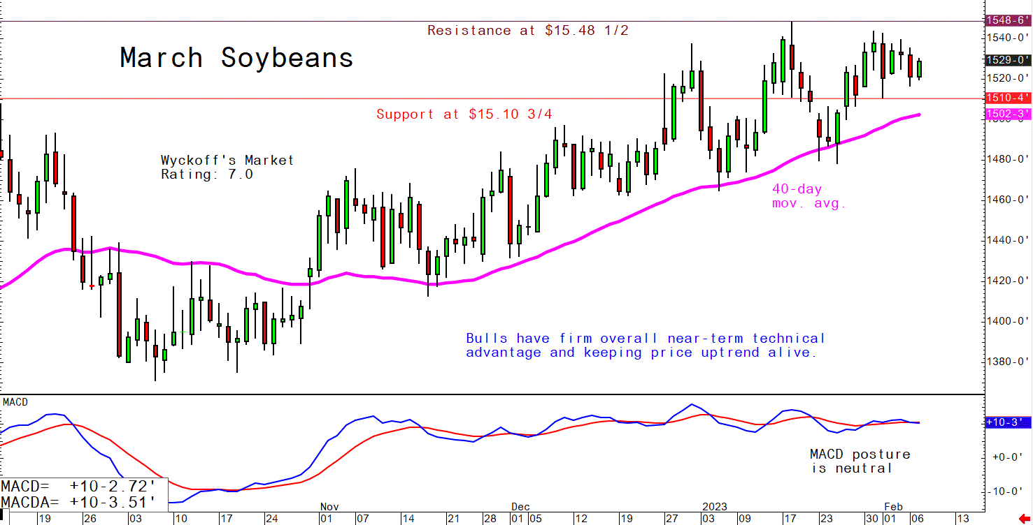 Soybeans_020723