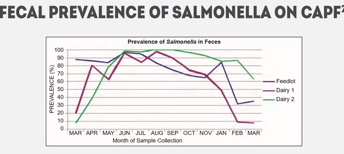 Fecal prevalence in dairies and feedlots