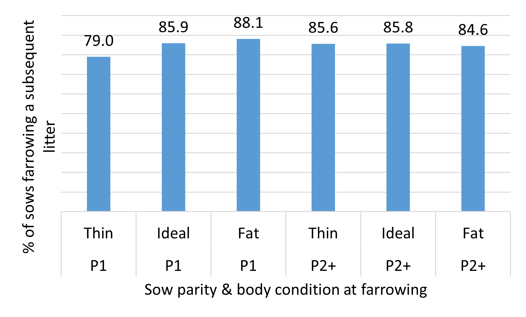Impact of parity and prefarrow body condition score during periods of heat stress