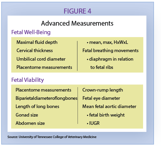 Figure 4 measurements calf health