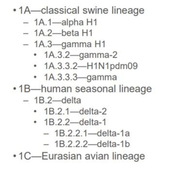 Global nomenclature for H1