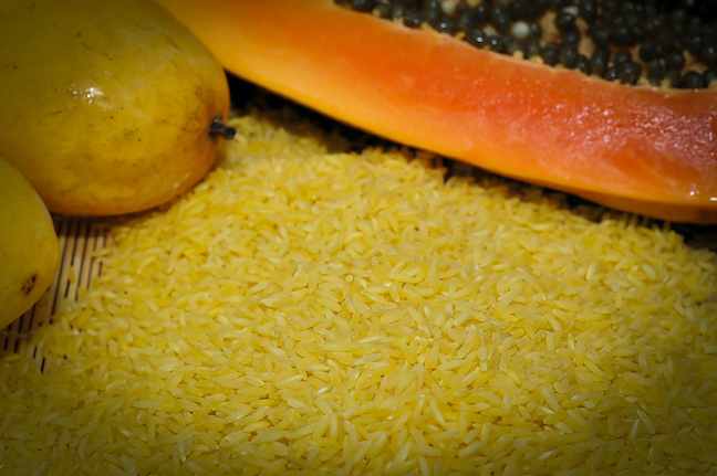GOLDEN RICE MEAL