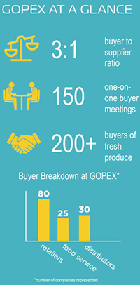 GOPEX at a glance