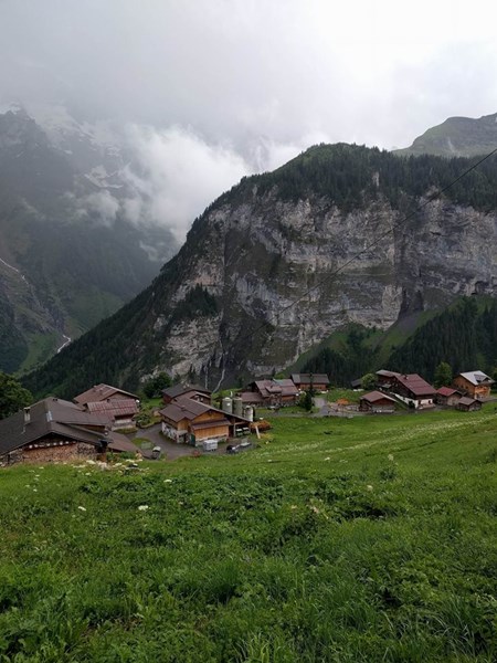 Lessons From Swiss Dairy Farmers in the Alps | AgWeb