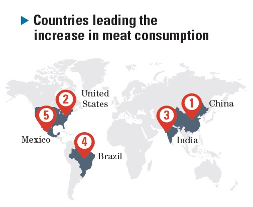 Global Meat Consumption