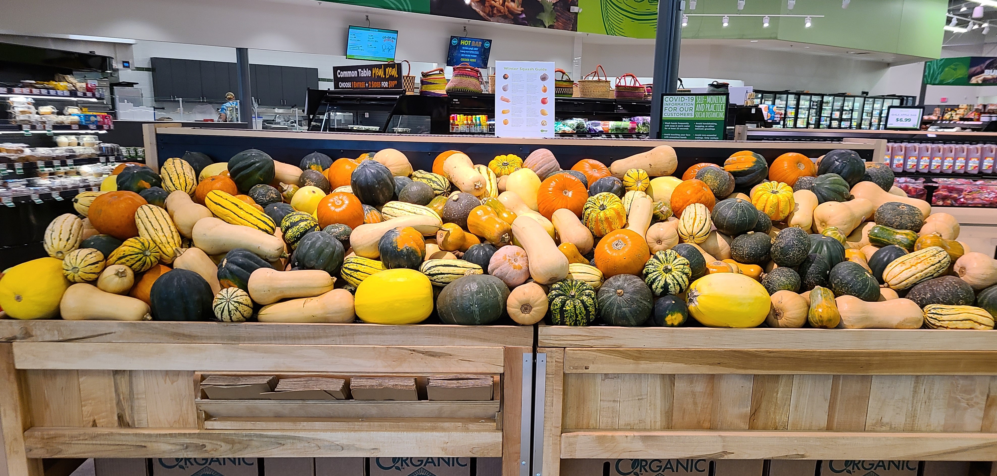 fall squash display in grocery store