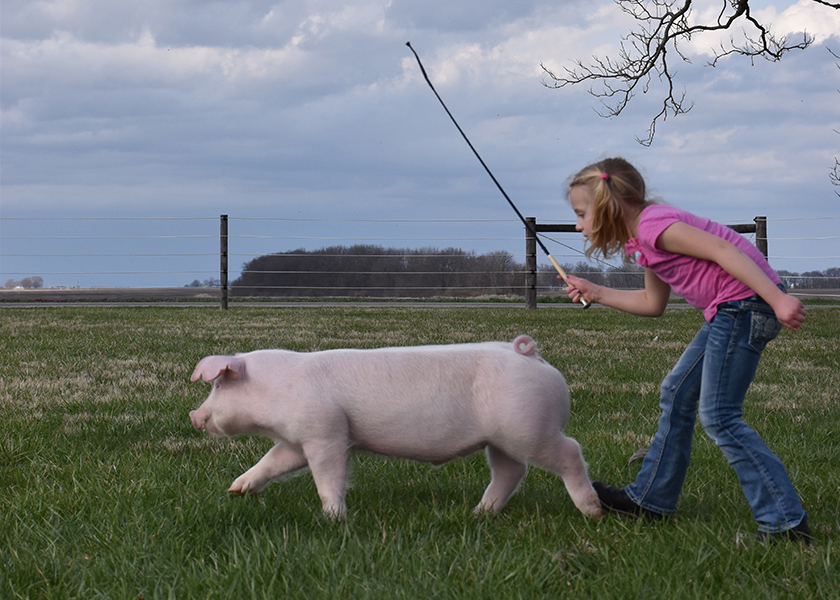 Harper Shike practicing pig at home