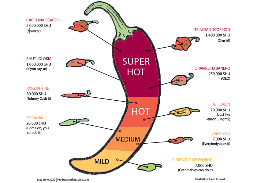 scoville scale for chili pepper heat