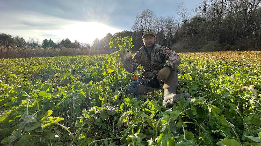 Dave Richmond in a heavy food plot