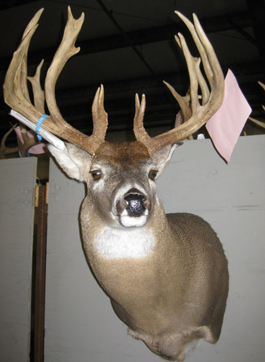 Big Bucks at the Missouri Deer Classic | AgWeb