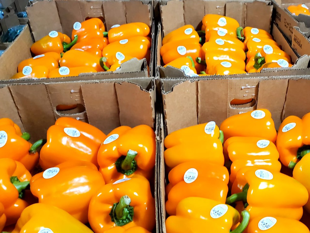Orange bell peppers in boxes