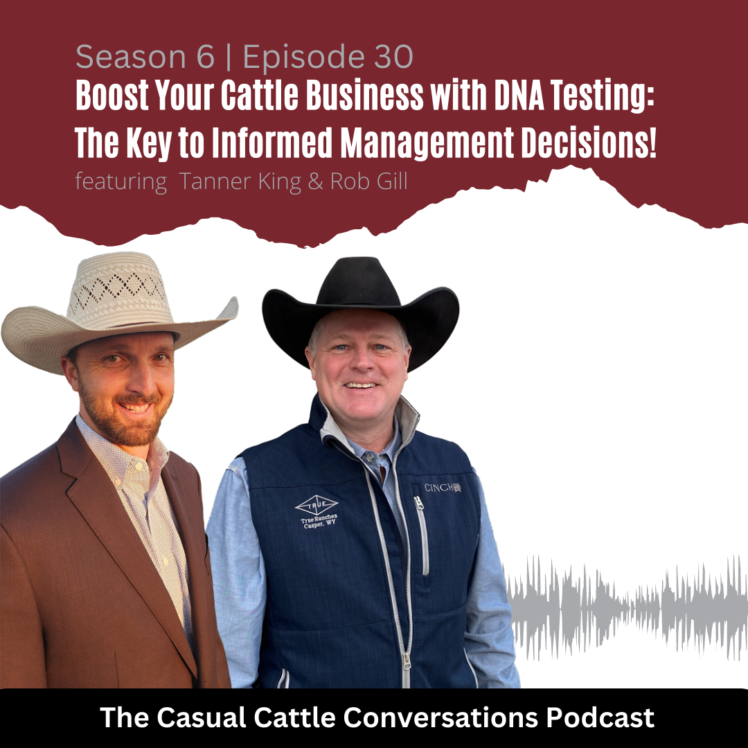Igenity Feeder - Casual Cattle Conversations