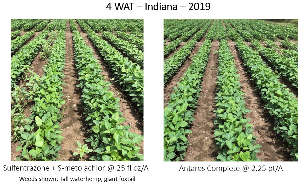 Indiana Antares Complete