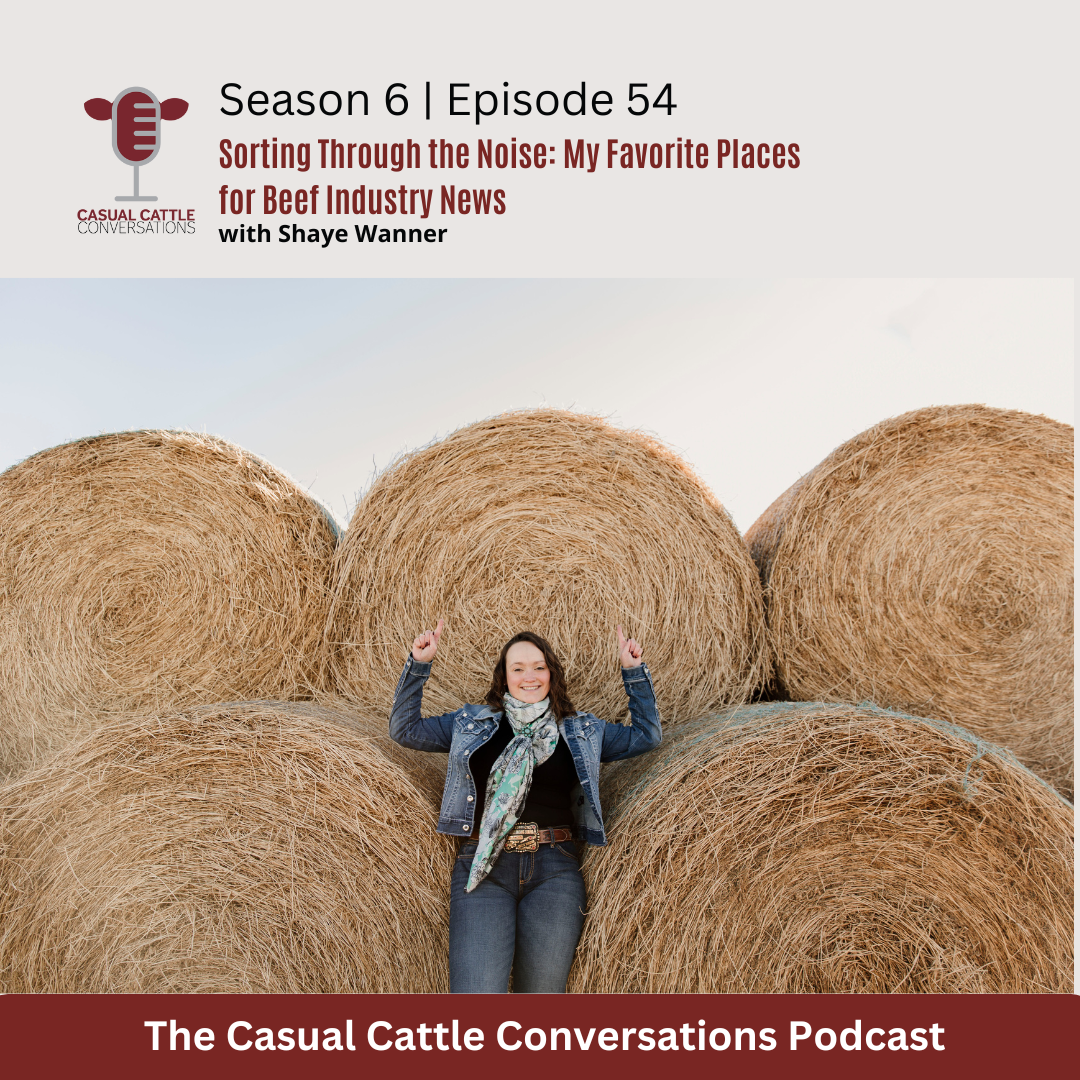 Industry News - Casual Cattle Conversations