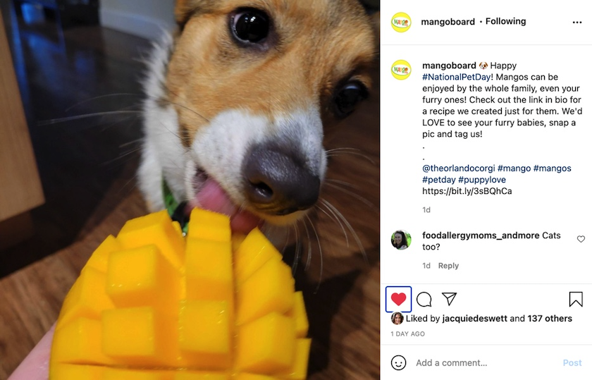 instagram mango board