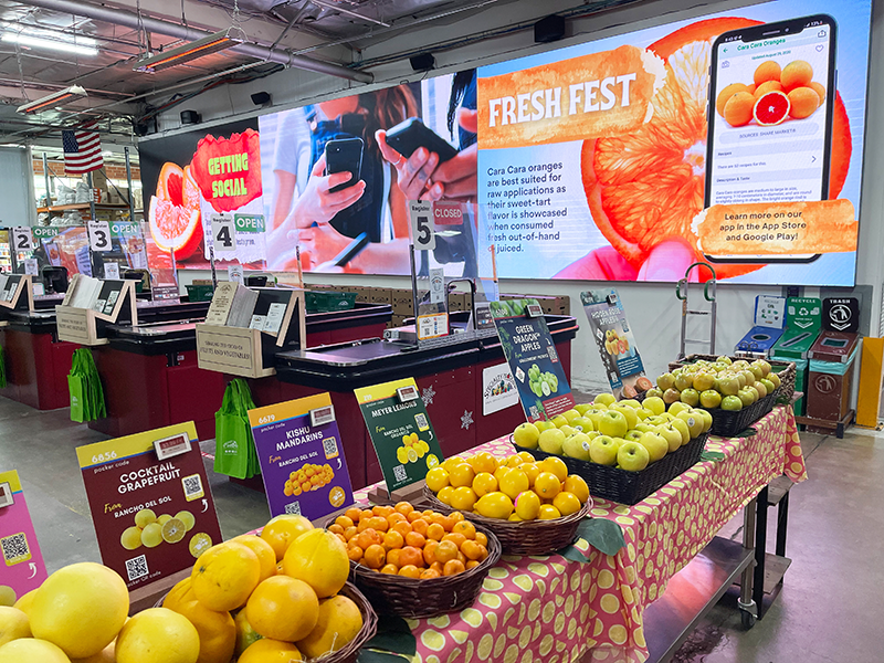 In the foreground, a table running diagonally to the top right has baskets of grapefruit, mandarins, lemons and apples on top, with signs featuring a description and a QR code behind each one. In the background are four checkout lanes with no one in them. There are also large signs with advertisements for the company's social media.
