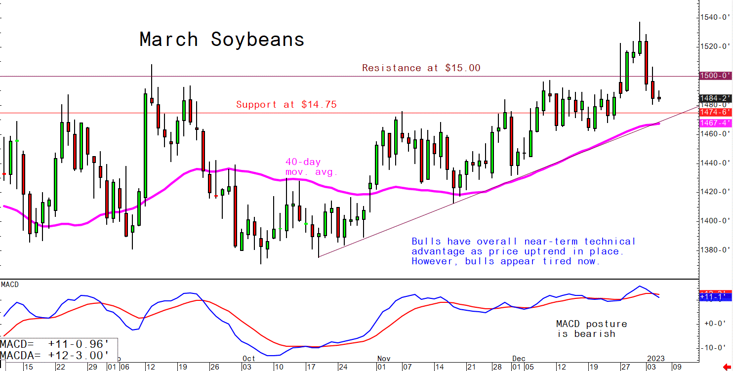 Soybeans_010523