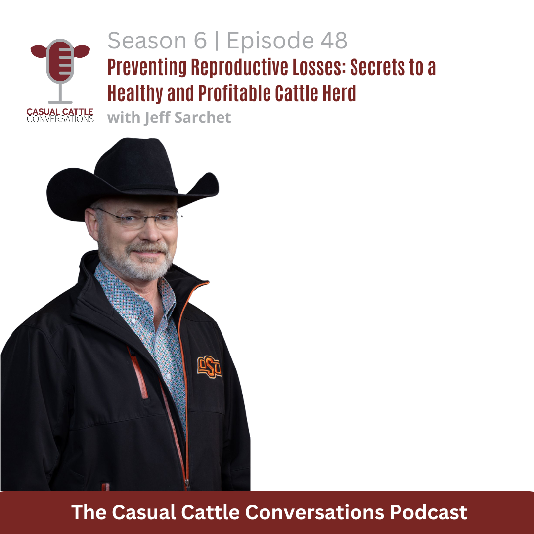 Jeff Sarchet - Casual Cattle Conversations