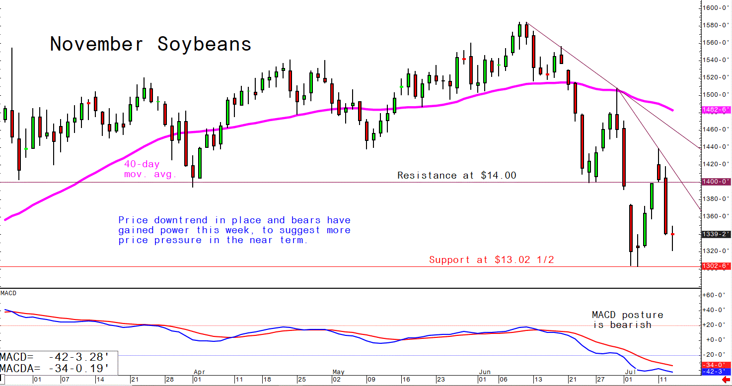 July 13 Soybeans