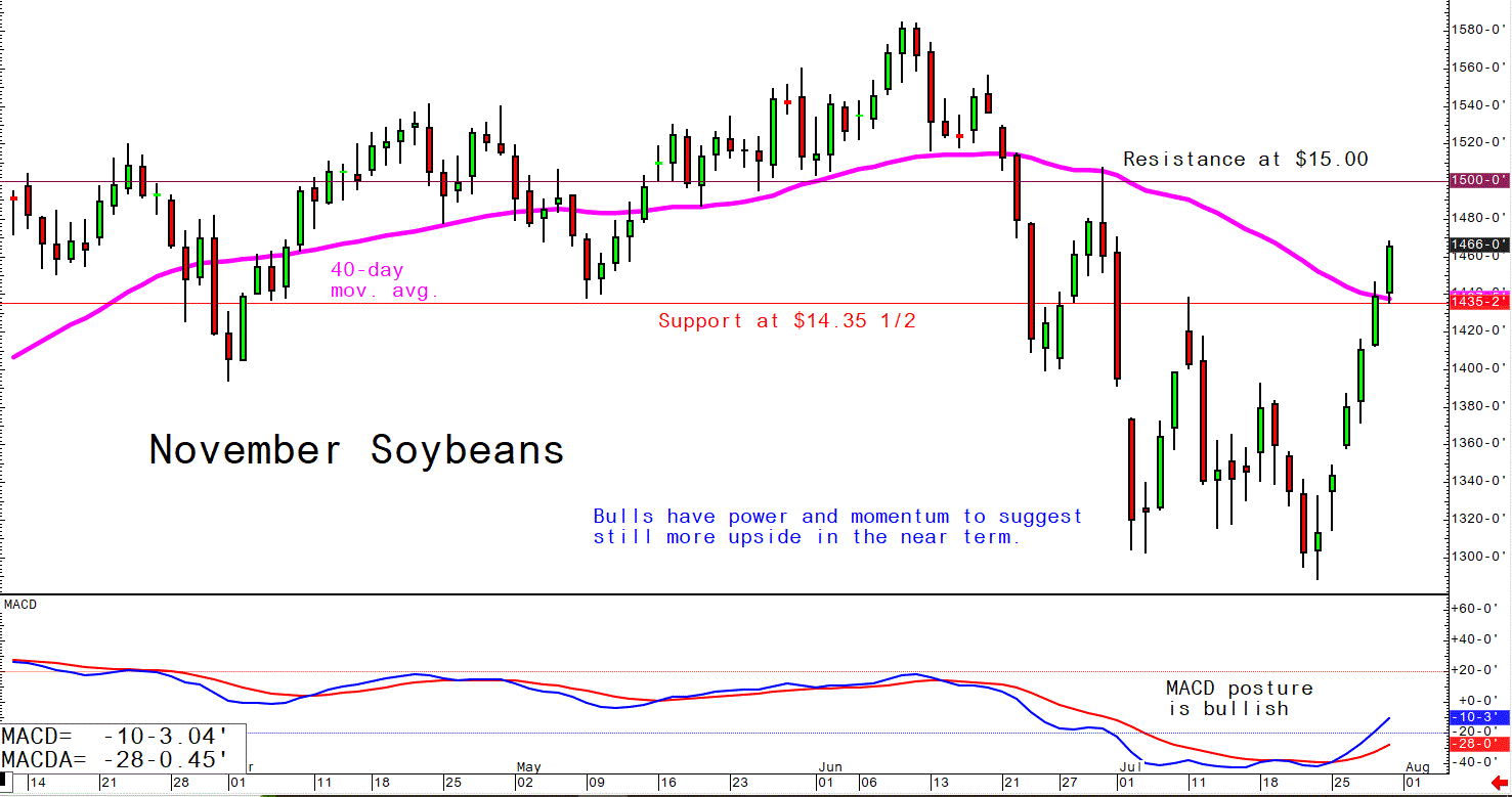 July 29 Soybeans