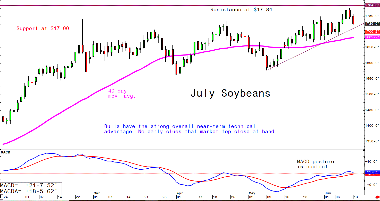 June 13 Soybeans