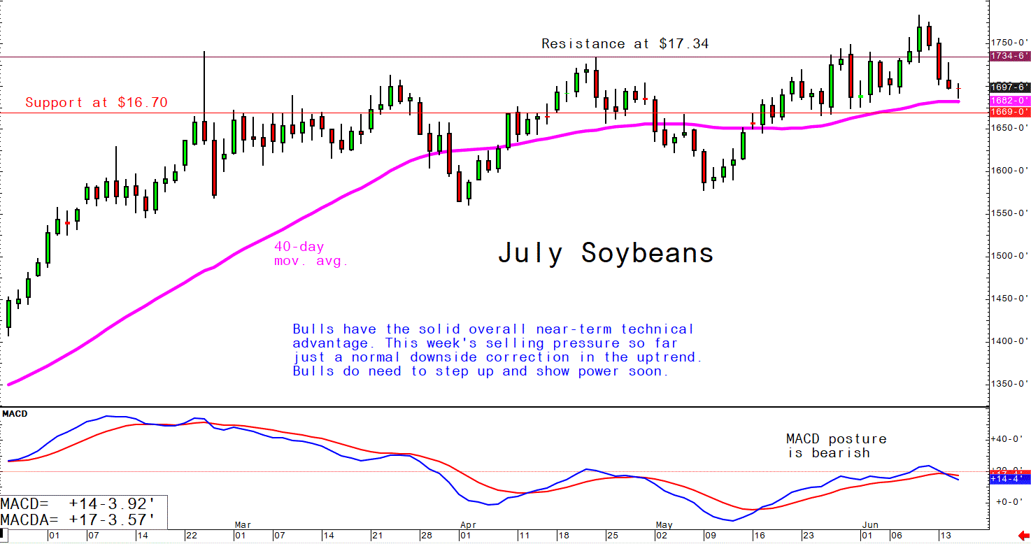 June 15 Soybeans