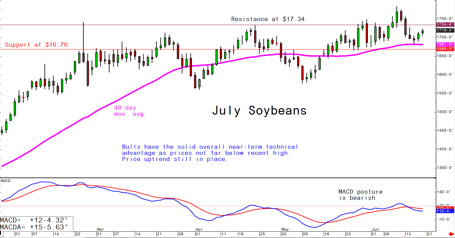 June 17 Soybeans
