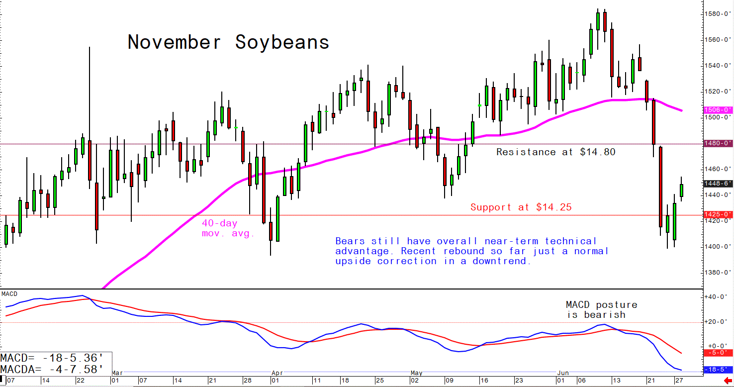 June 28 Soybeans