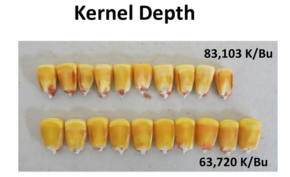 kernel depth