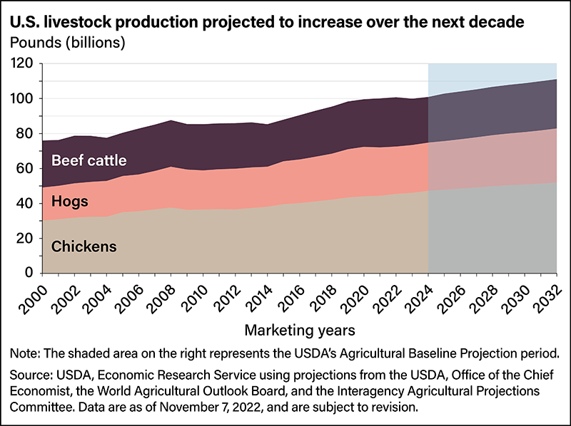 USDA Livestock Production Projections