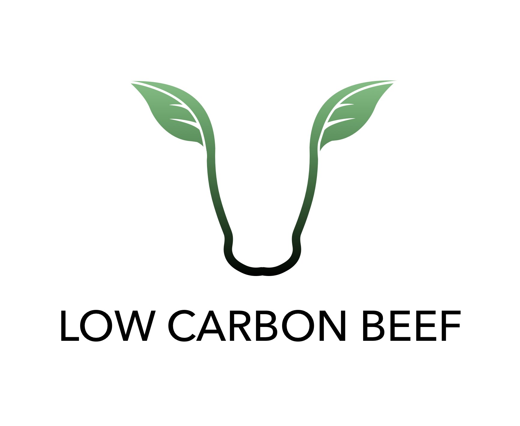 Low Carbon Beef 