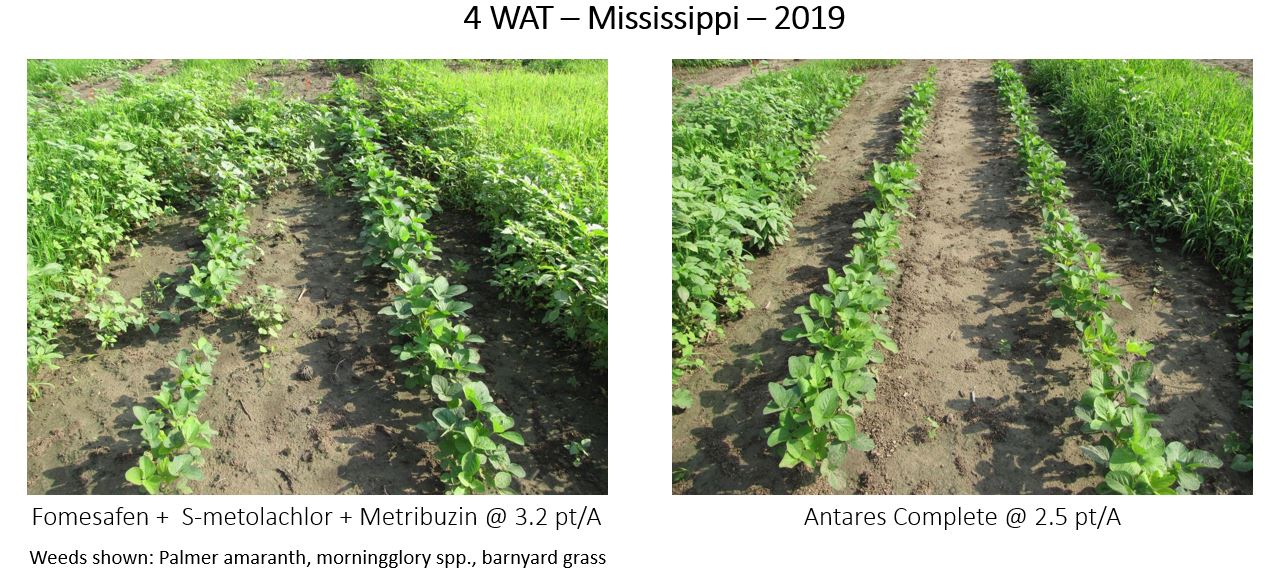 Mississippi Antares Complete