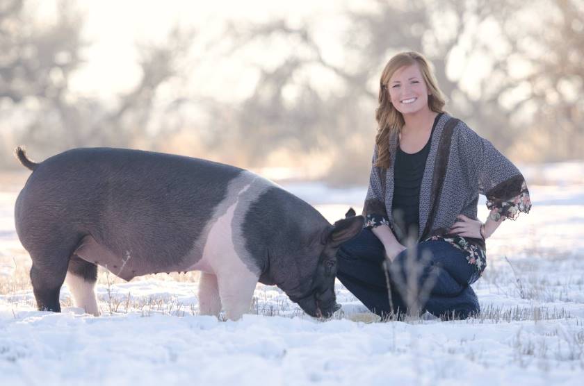 Maddison Caldwell with belted pig
