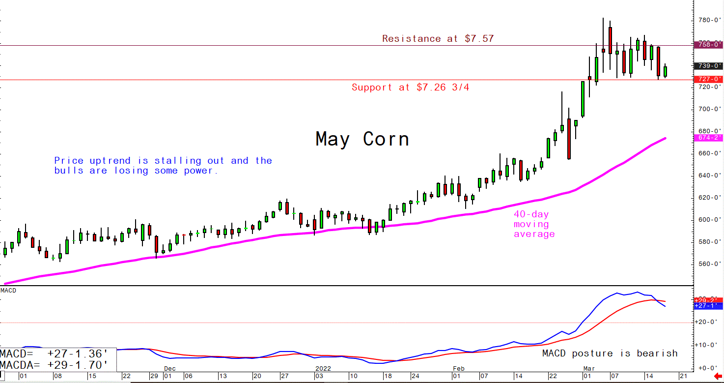 March 17 Corn