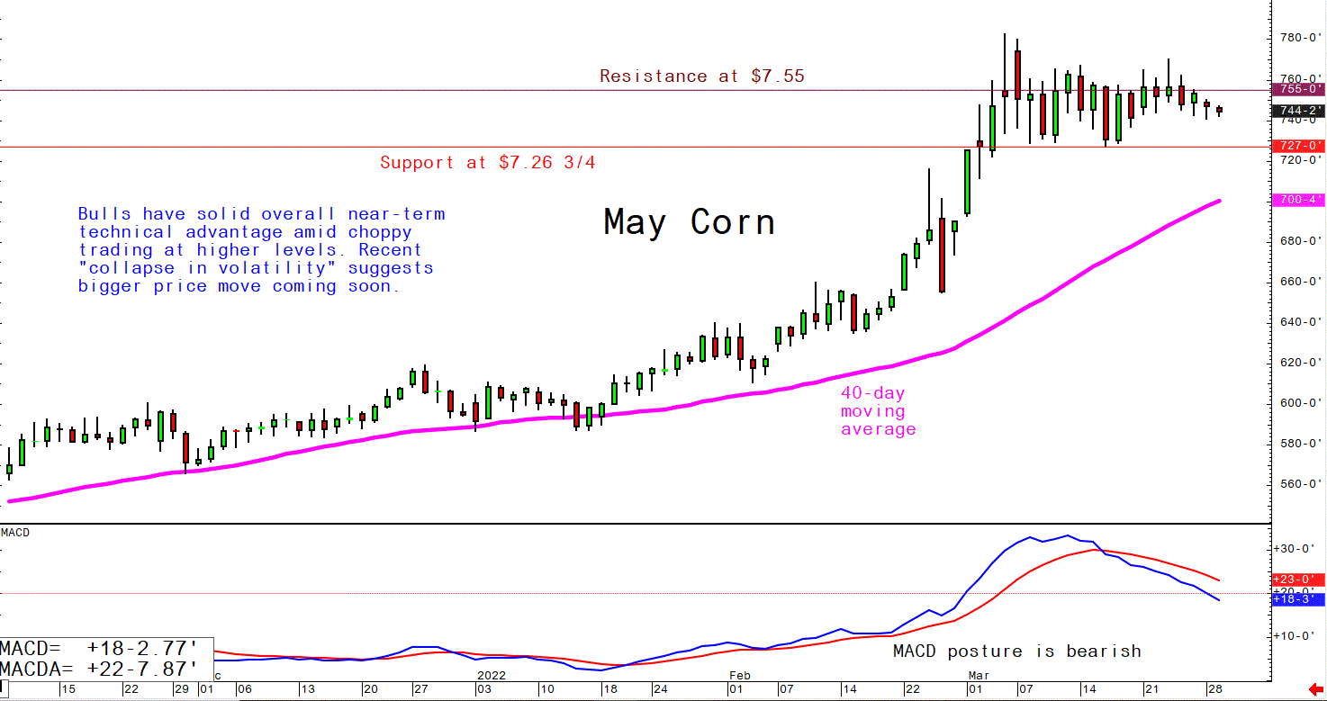 March 29 corn