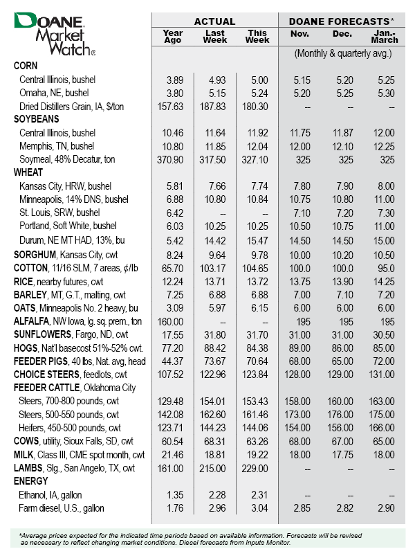 Market-Watch-Table-Oct21